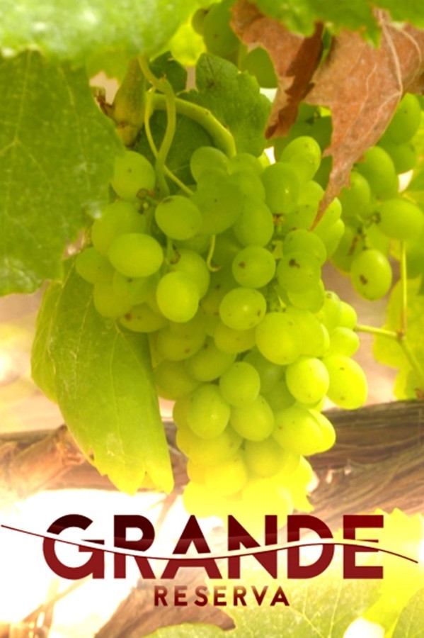 Grande Reserva