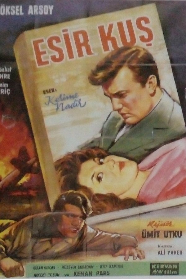 Esir Kuş