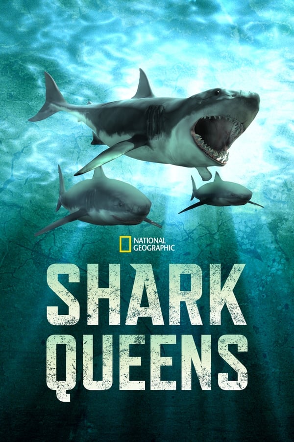 EN - Shark Queens (2022)