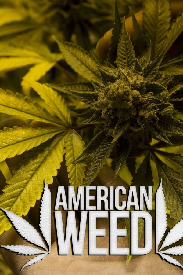 American Weed poster