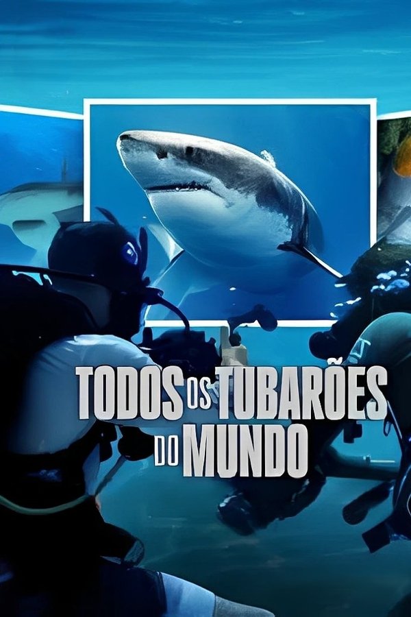 Todos os Tubarões do Mundo
