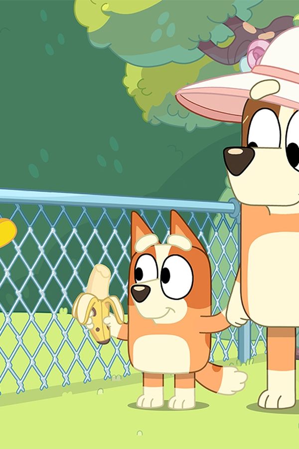 Bluey – S01E35 – Zoo