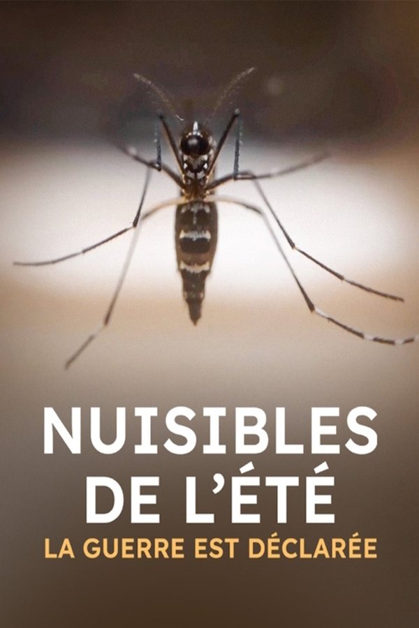 FR - Nuisibles de l'été, la guerre est déclarée () 4KOTT