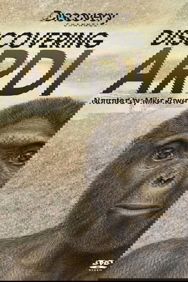Discovering Ardi poster