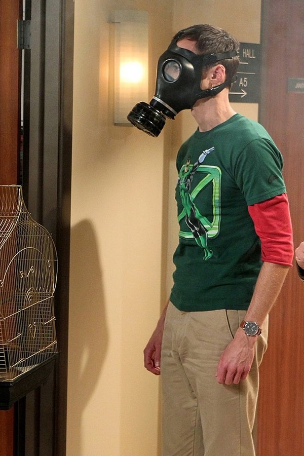 The Big Bang Theory – S04E04 – La deviazione del troll virtuale