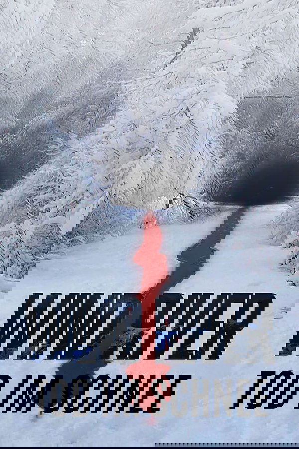 DE - Wind River (2017)