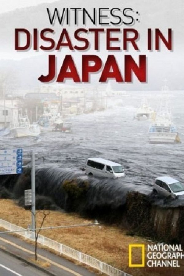 Witness: Disaster in Japan poster