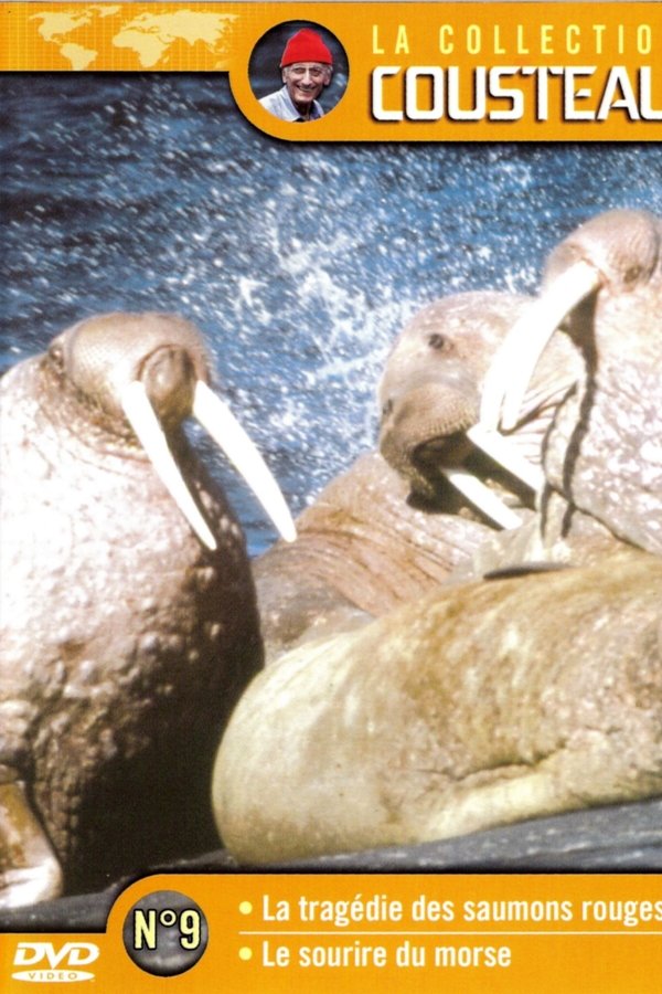 The Cousteau Collection N°9-2 | Morse’s Smile