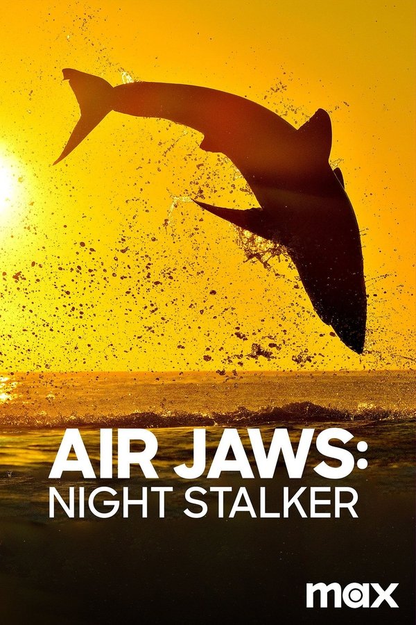 FR - Air jaws : night stalker (2025)