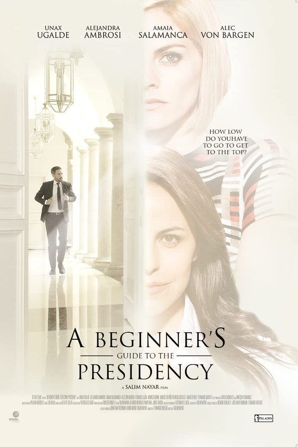 A Beginner's Guide to the Presidency poster