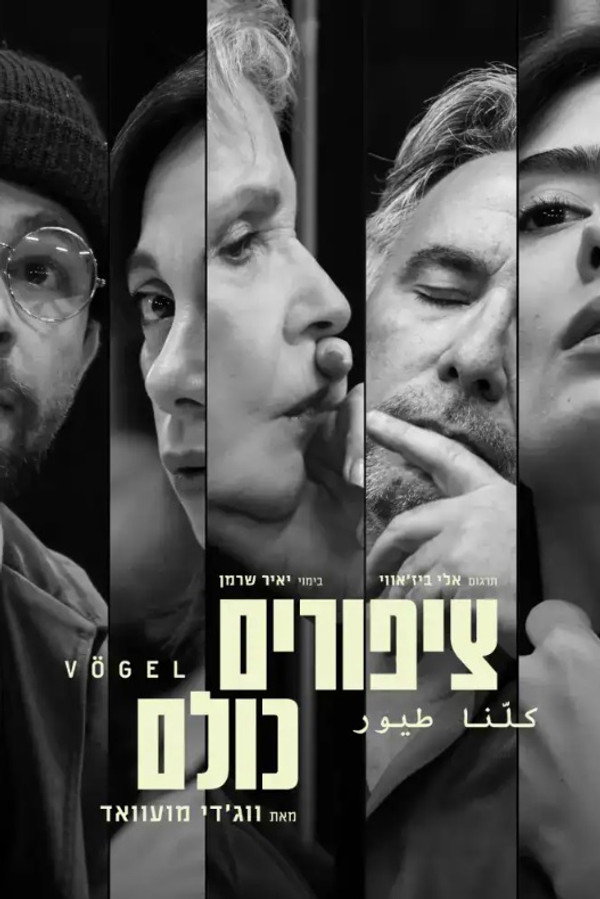 ציפורים כולנו