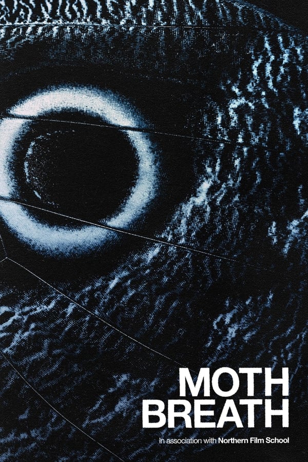 Moth Breath (2023)