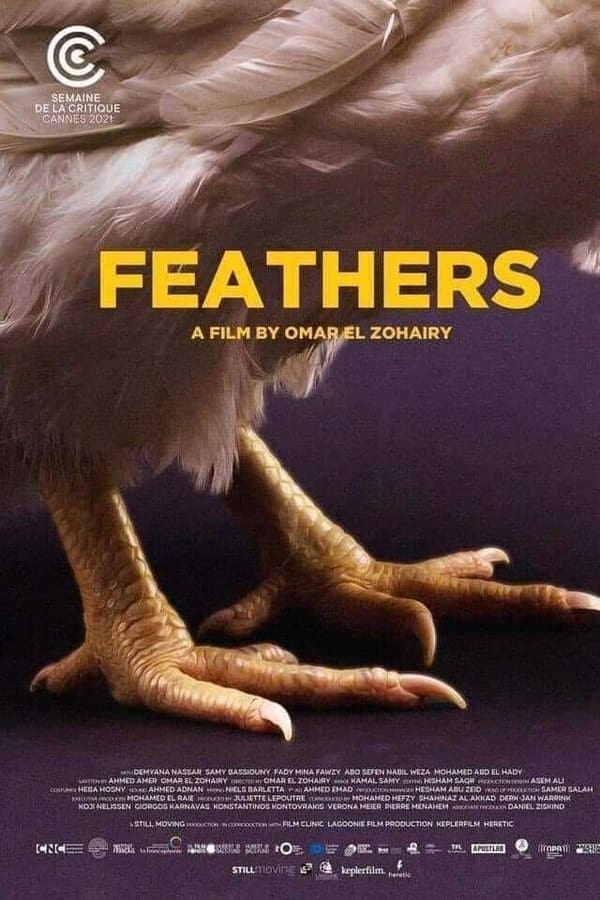 Feathers