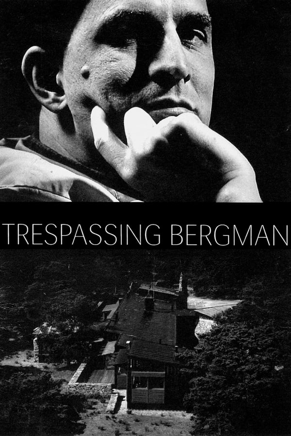 Descubriendo a Bergman