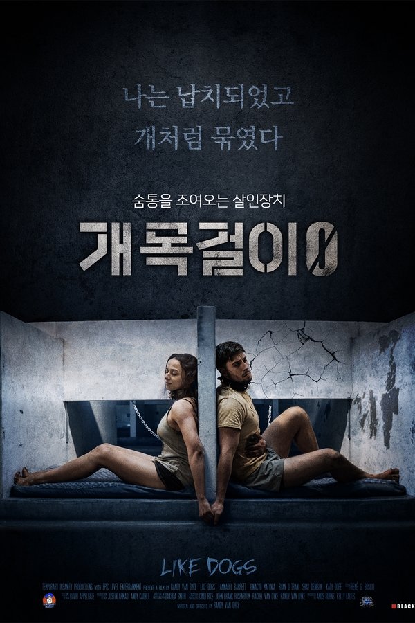 개목걸이 0