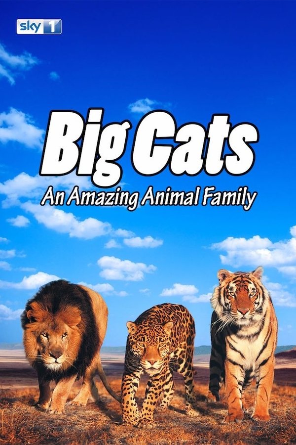 Big Cats: An Amazing Animal Family Big Cats: An Amazing Animal Family