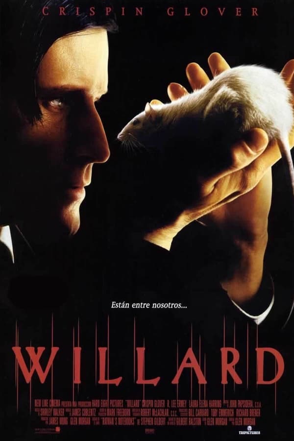 TVplus LAT - Willard (2003)