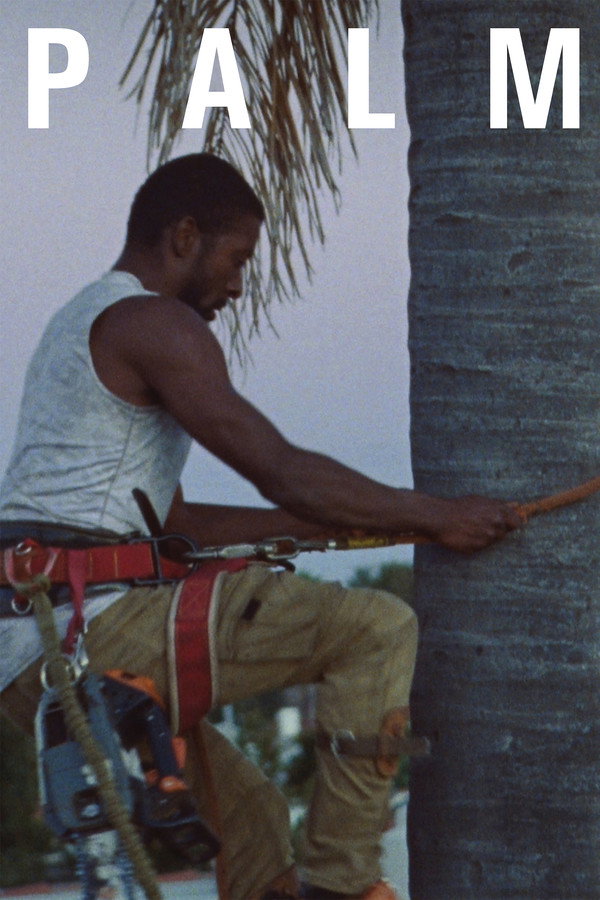 Palm