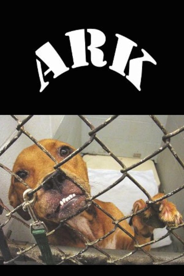 Animal Rescue Katrina