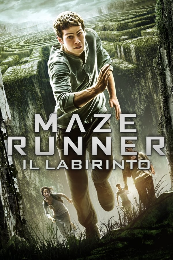 IT: Maze Runner - Il labirinto (2014)