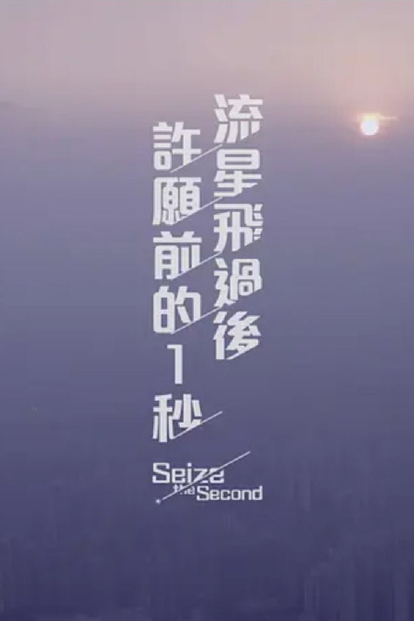 流星飞过后许愿前的一秒