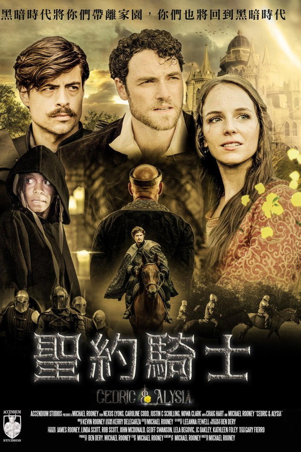 圣约骑士