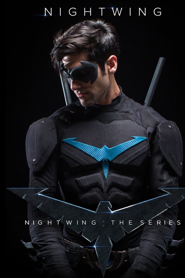 Nightwing: The Series Nightwing: The Series