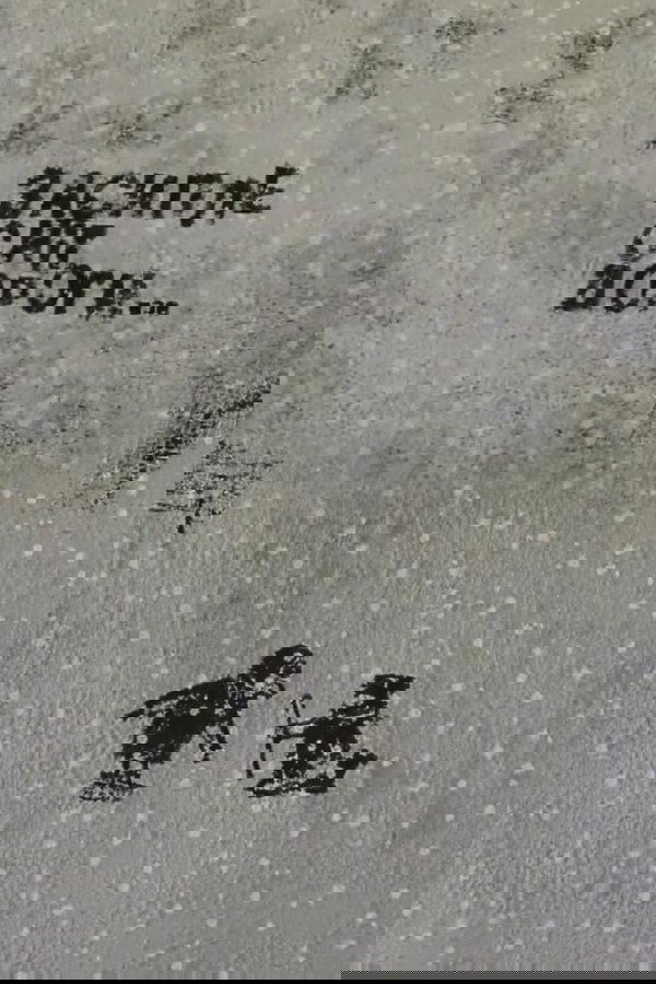 Snow Will Cover the Roads poster