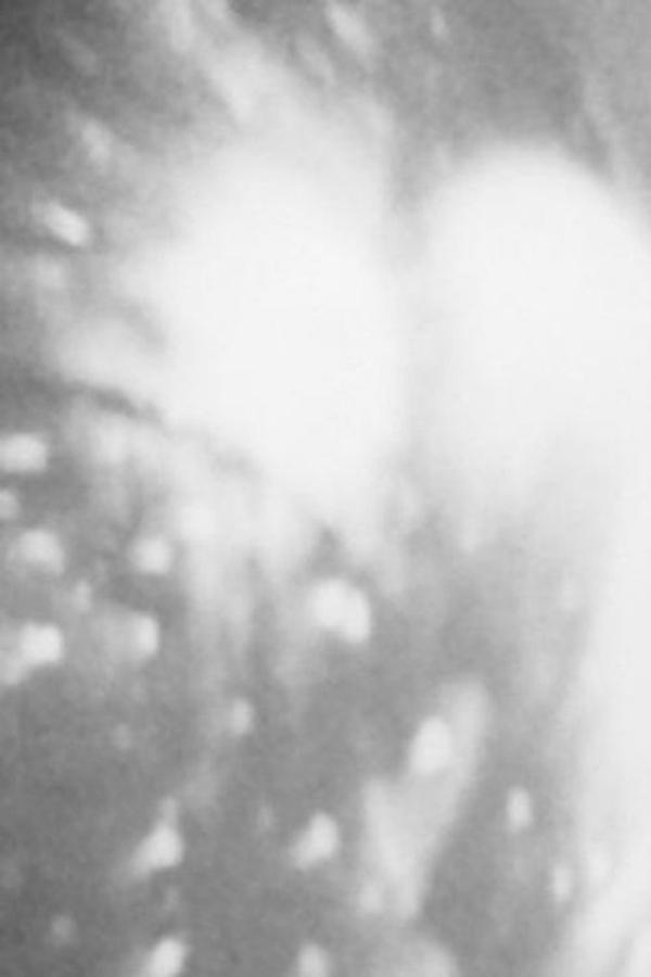 The Beads (LEG) (1984)