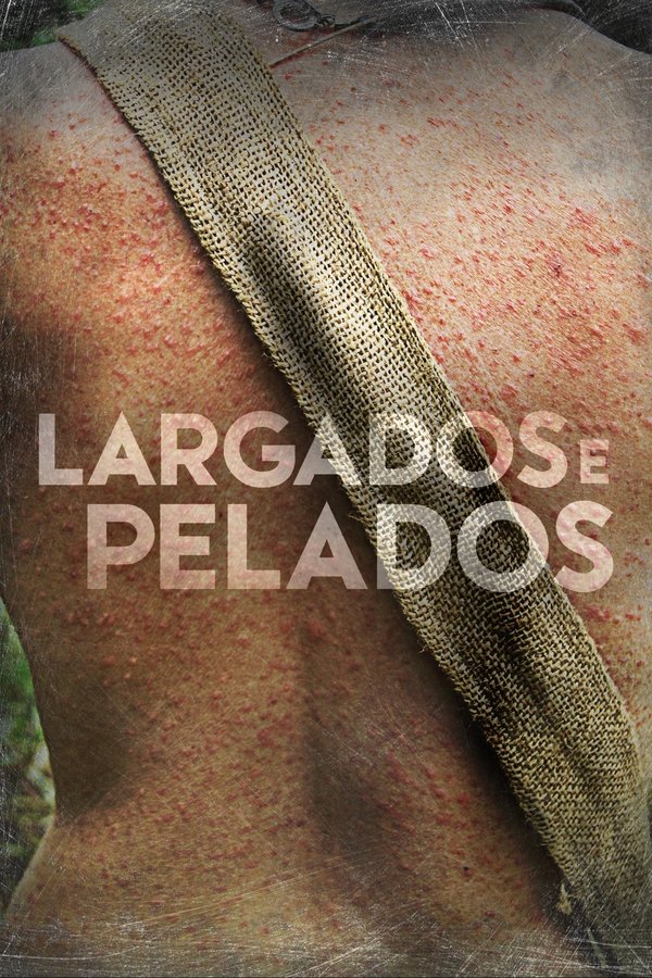 Temporada 5