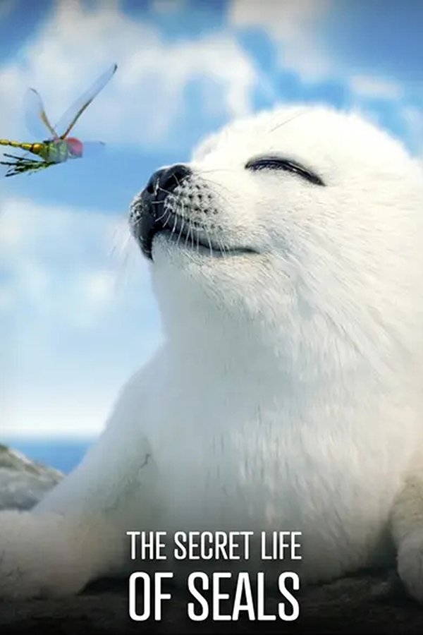 The Secret Life of Seals poster
