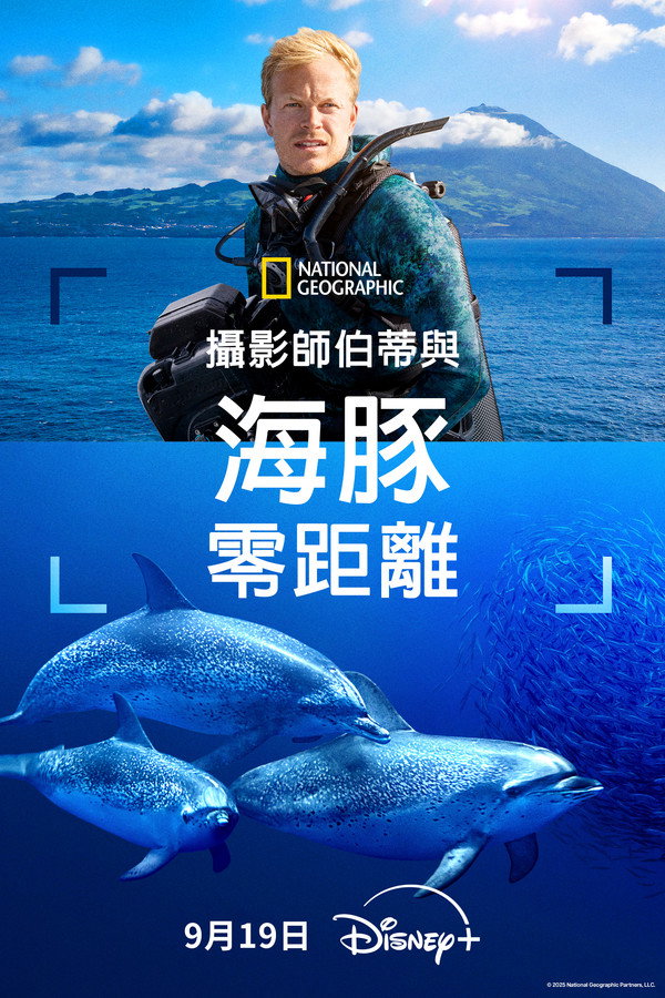 摄影师伯蒂与海豚零距离