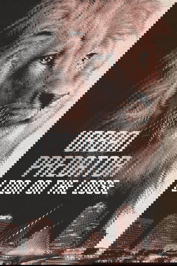 Urban Predator: Lion on the Loose