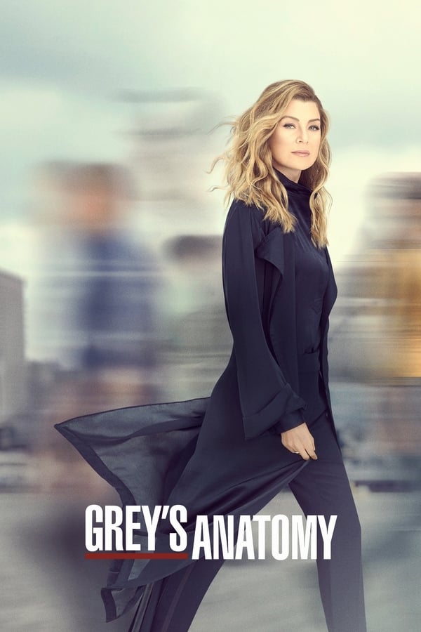 Anatomia de Grey 16ª Temporada - Poster