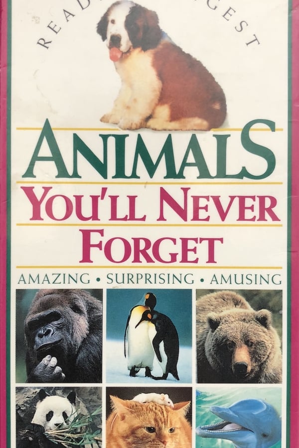 Animals You'll Never Forget poster
