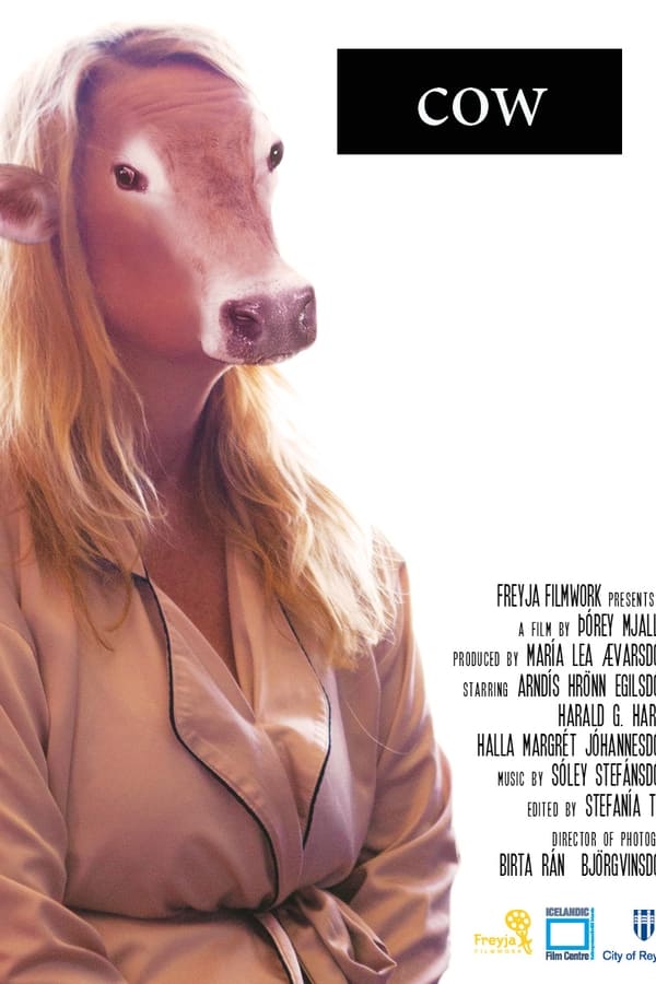 Cow poster