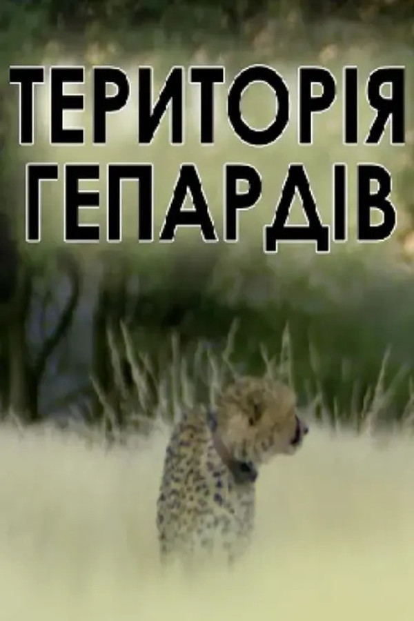 Man, Cheetah, Wild poster