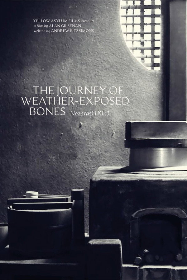 The Journey of Weather-Exposed Bones