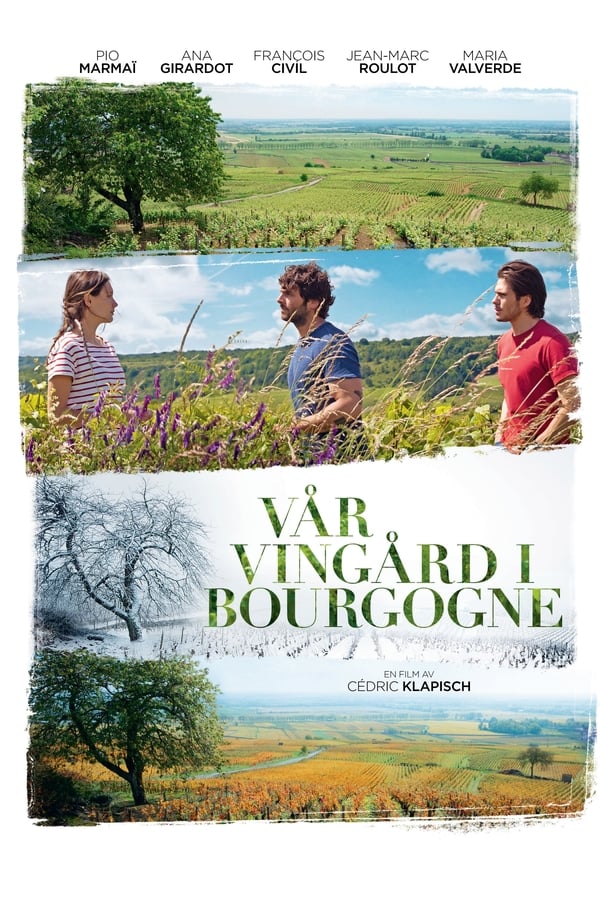 Vår vingård i Bourgogne