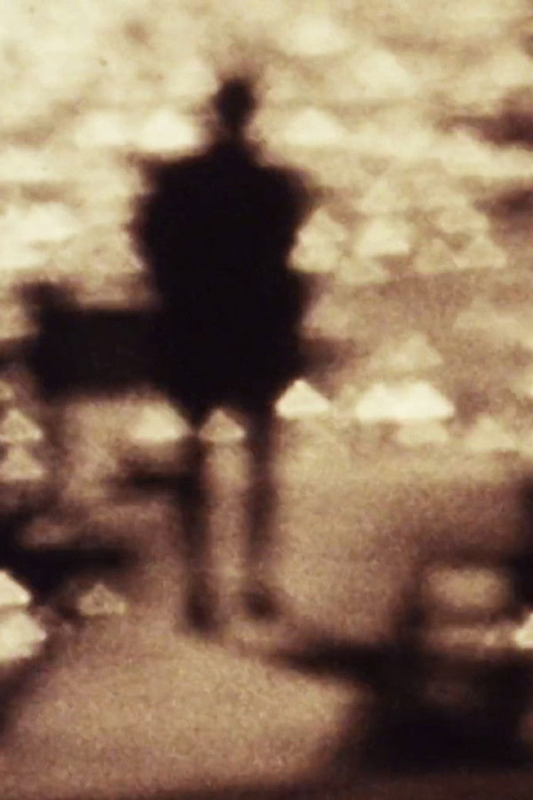 Elemental Vision or a film for the rest of my life