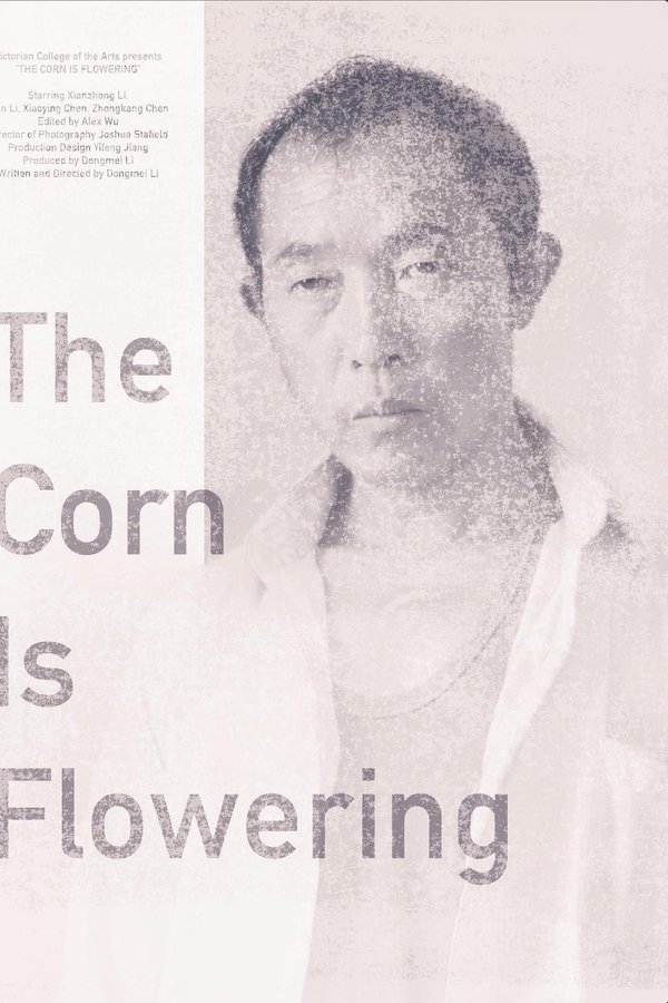 The Corn is Flowering