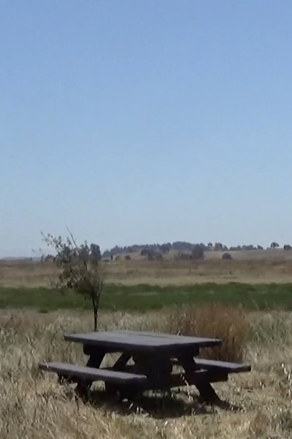 Ballad of a Wannabe Writer