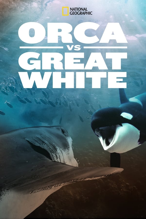FR - Orca Vs. Great White  (2021)