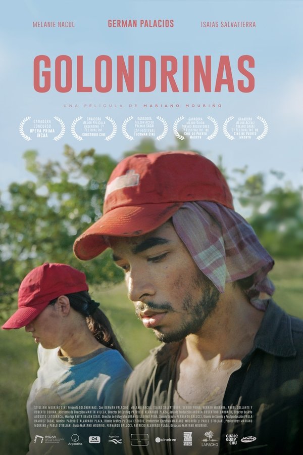 Golondrinas