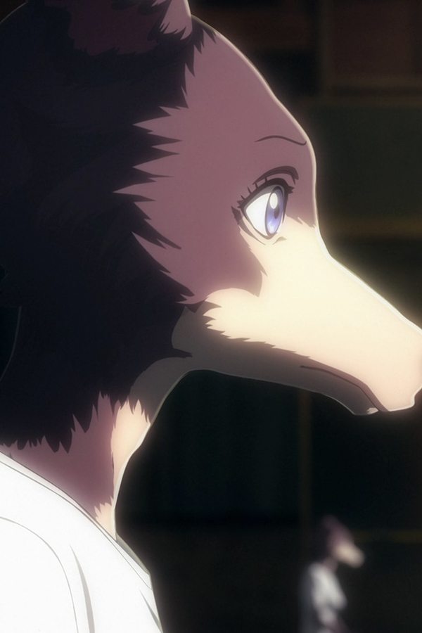 Beastars – S01E08 – Incastrato con un filo interdentale tra i canali dentali