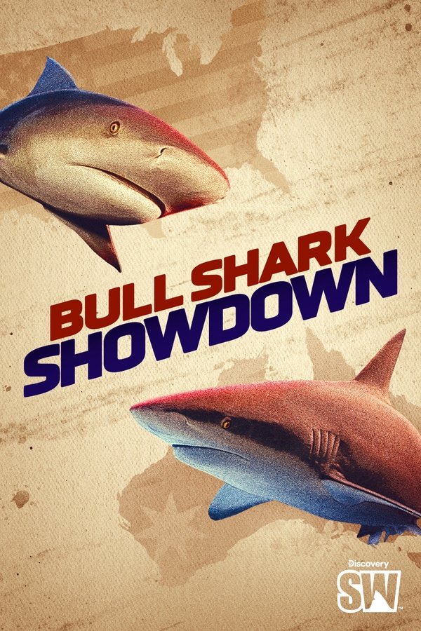 Bullshark Showdown