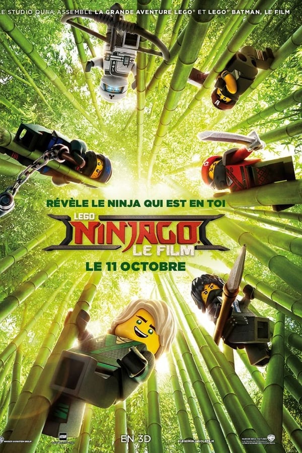 Pour défendre la ville de Ninjago City, Lloyd, alias le Ninja Vert, et ses amis maîtres‐bâtisseurs LEGO et combattants infiltrés se mobilisent. Avec à leur tête le maître kung‐fu Wu, aussi sage que blagueur, ils doivent affronter l’abominable Garmadon … qui se trouve aussi être le père de Lloyd ! Mais il leur faudra d’abord surmonter leur ego et apprendre à unir leurs forces pour se révéler de redoutables guerriers. C’est à ce seul prix que notre bande de ninjas modernes, redoutables et insoumis, pourront remporter la bataille…