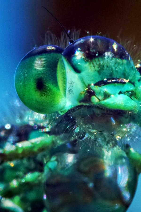 One Strange Rock: Pianeta terra – S01E08 – Siamo soli nell’Universo?