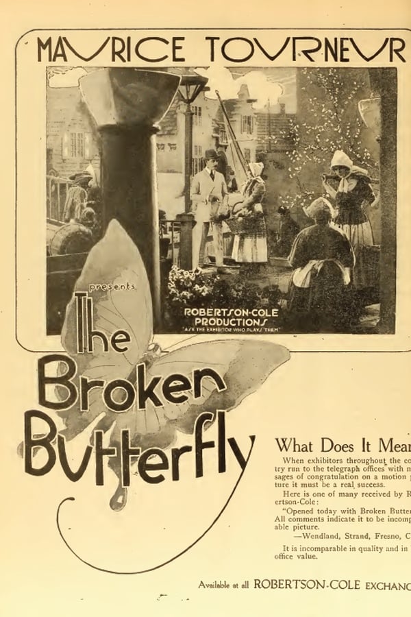 The Broken Butterfly