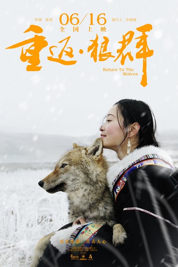 重返·狼群